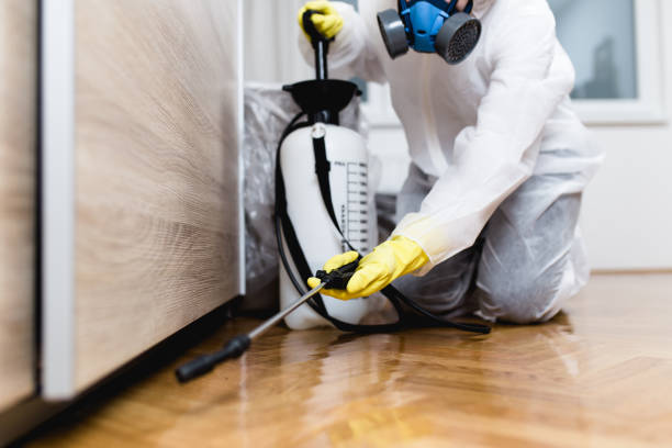 Best Wildlife Control Services  in Morton, MS
