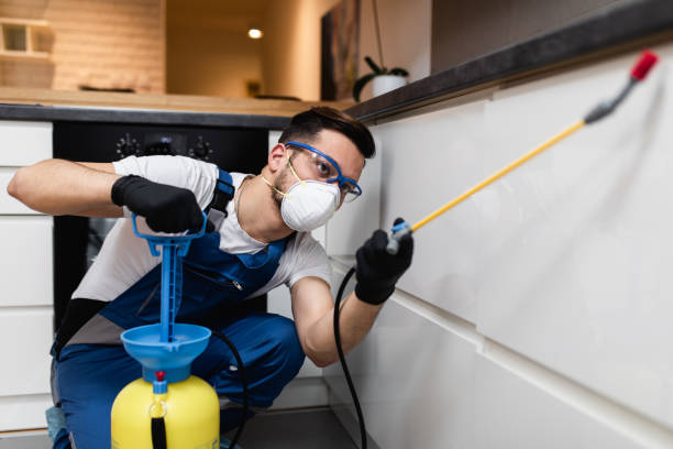 Best Termite Control Services  in Morton, MS