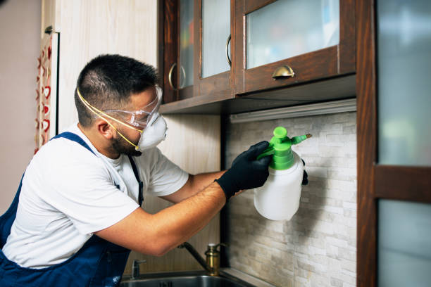 Pest Control for Restaurants in Morton, MS