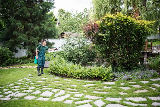 Best Wasp Removal Services  in Morton, MS