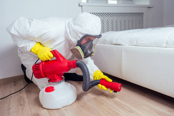 Best Best Pest Control Companies  in Morton, MS