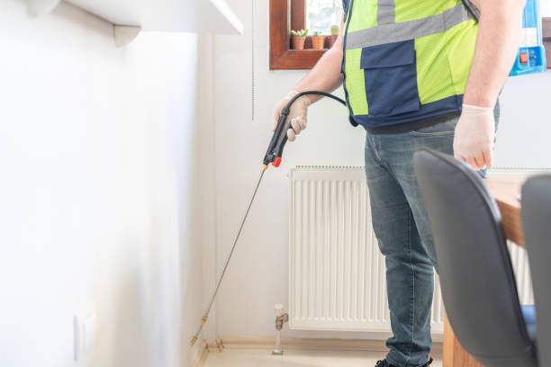 Best Affordable Pest Control Services  in Morton, MS