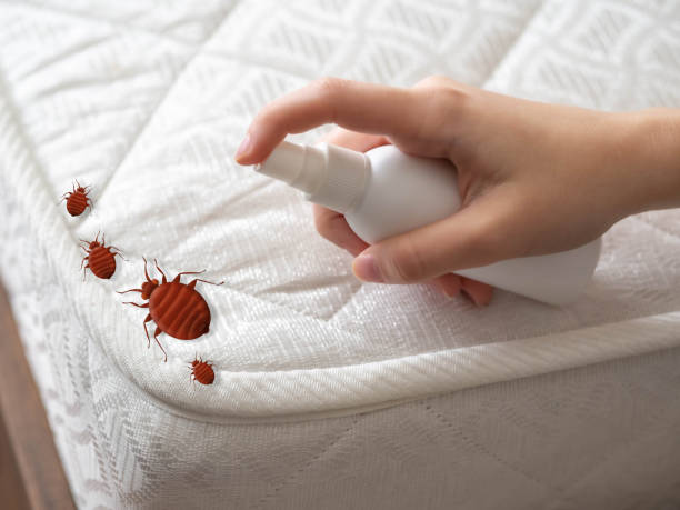 Morton, MS Pest Control Company